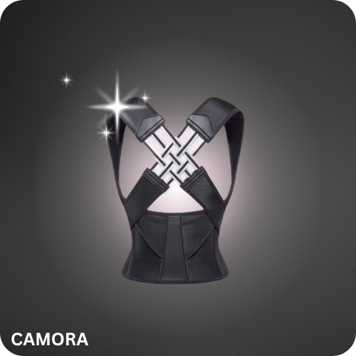 מייצב הגב של CAMORA